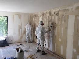 Best Mold Damage Restoration  in Pennsburg, PA